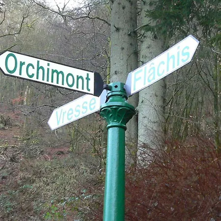 Saint-martin فندق